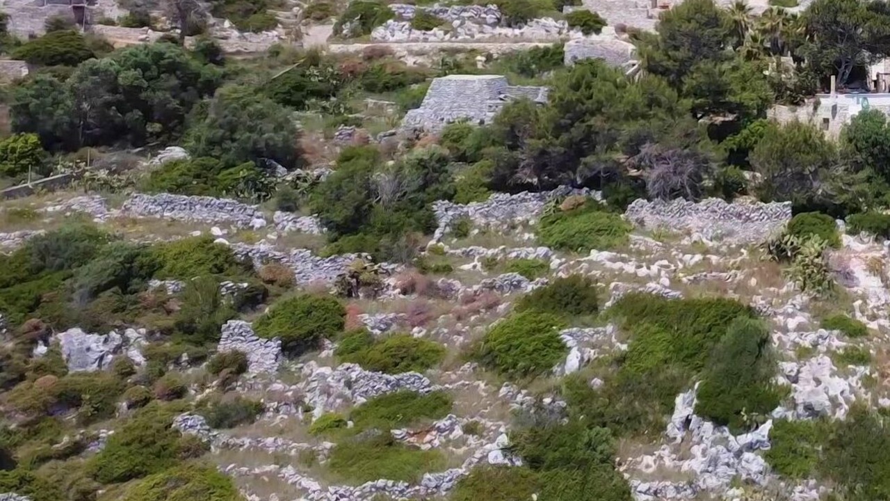 Photo of Others in Gagliano del Capo