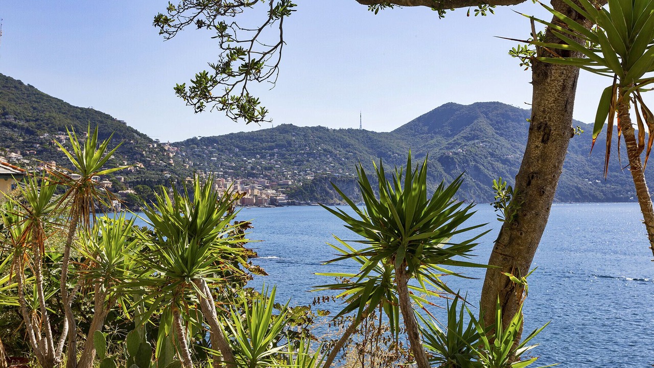 Photo of Others in Recco