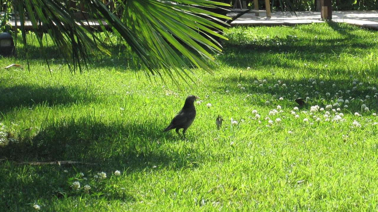 Photo of Outdoor in Eboli