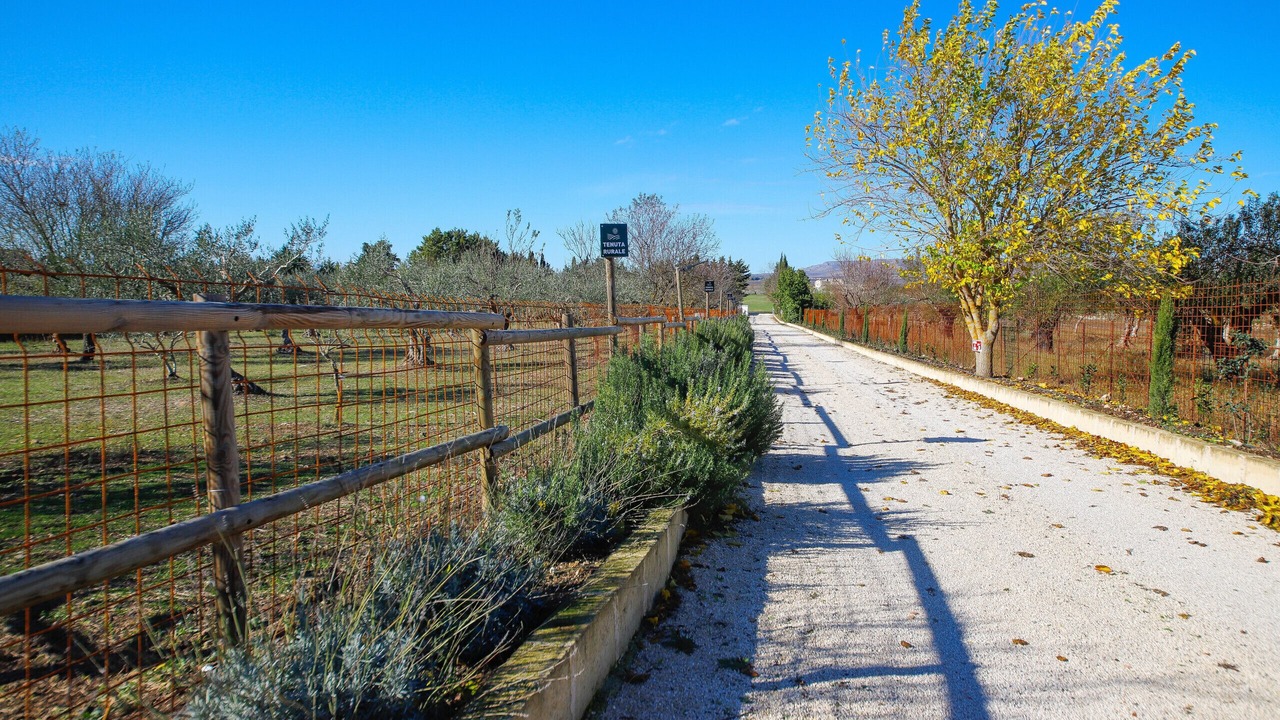 Photo of Outdoor in Gravina in Puglia