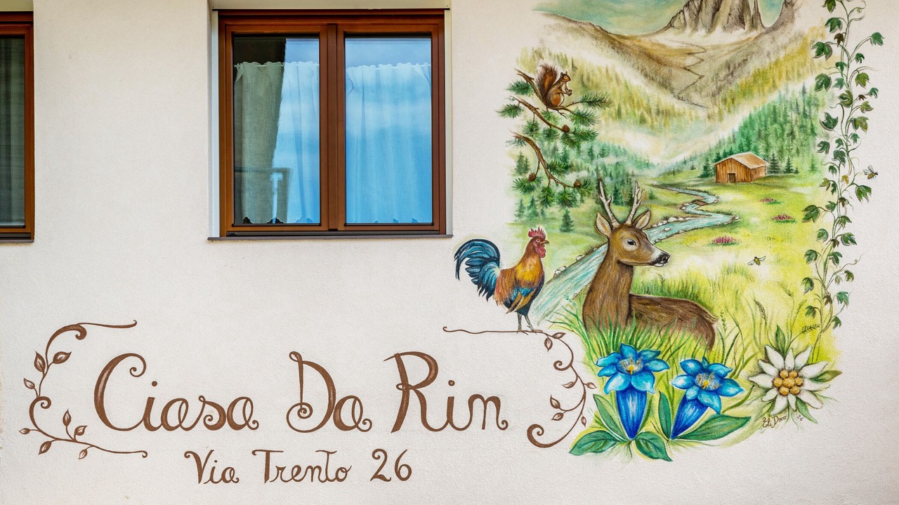 Photo of Outdoor in Auronzo di Cadore