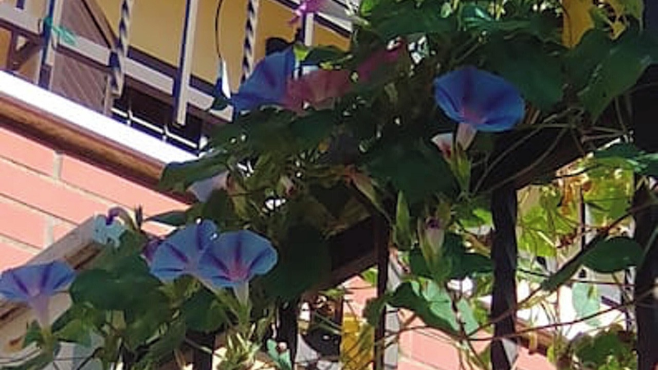 Photo of Outdoor in Zona XLV Castel di Guido