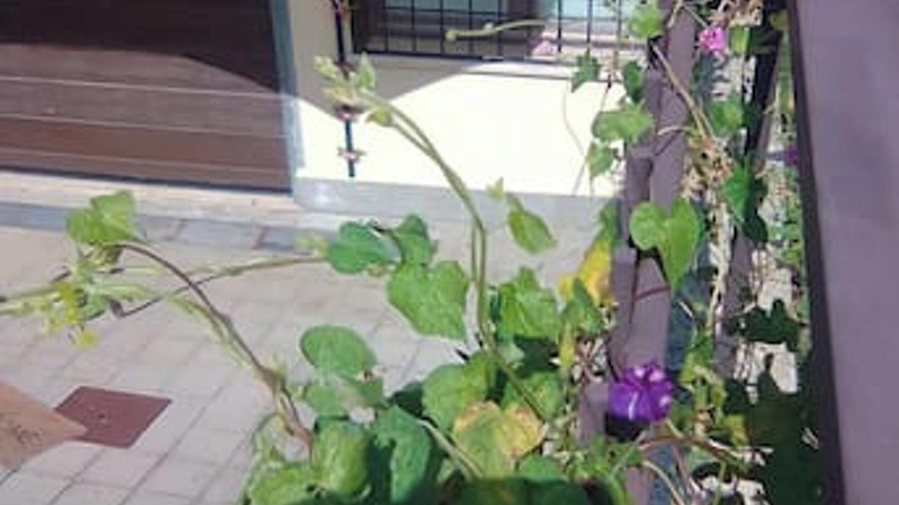 Photo of Outdoor in Zona XLV Castel di Guido