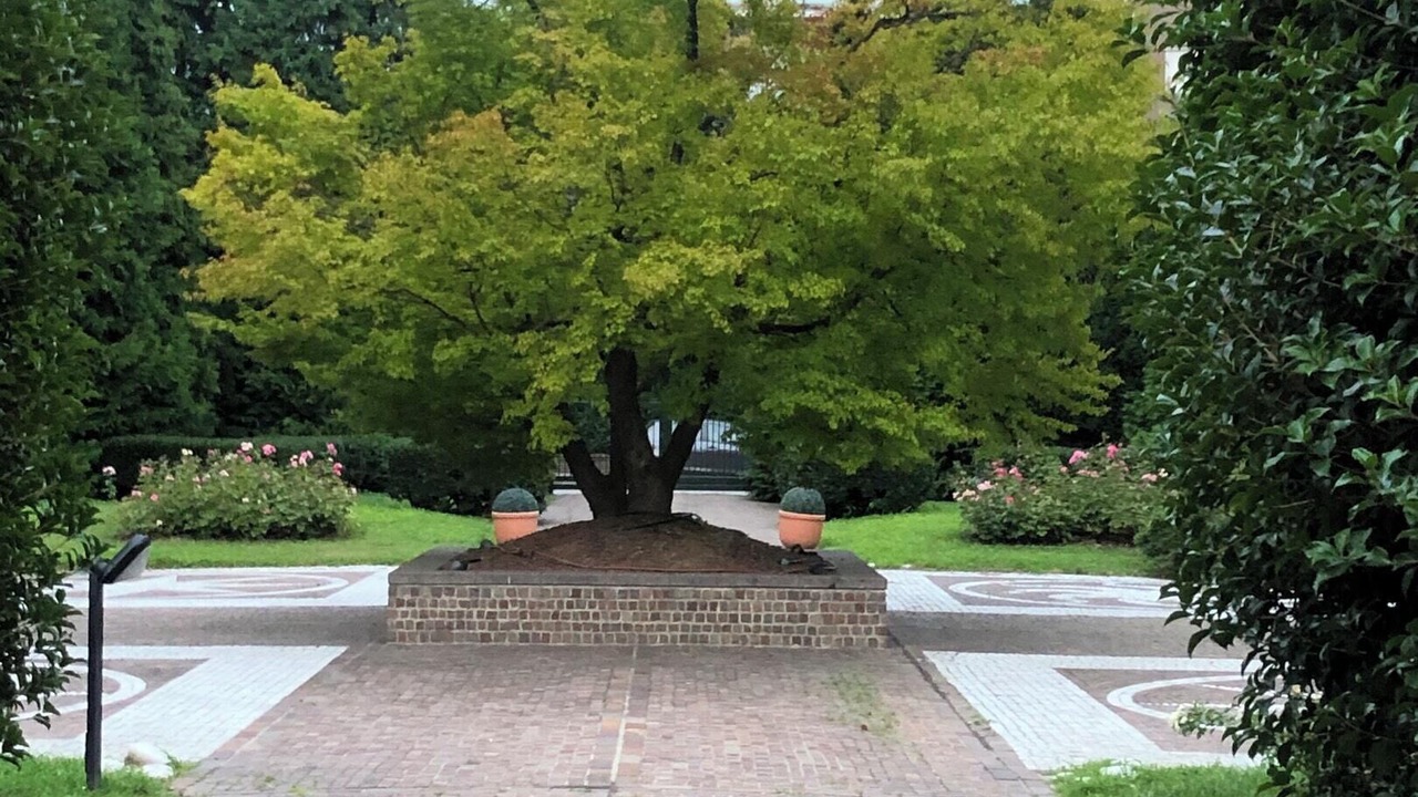 Photo of Outdoor in Monza