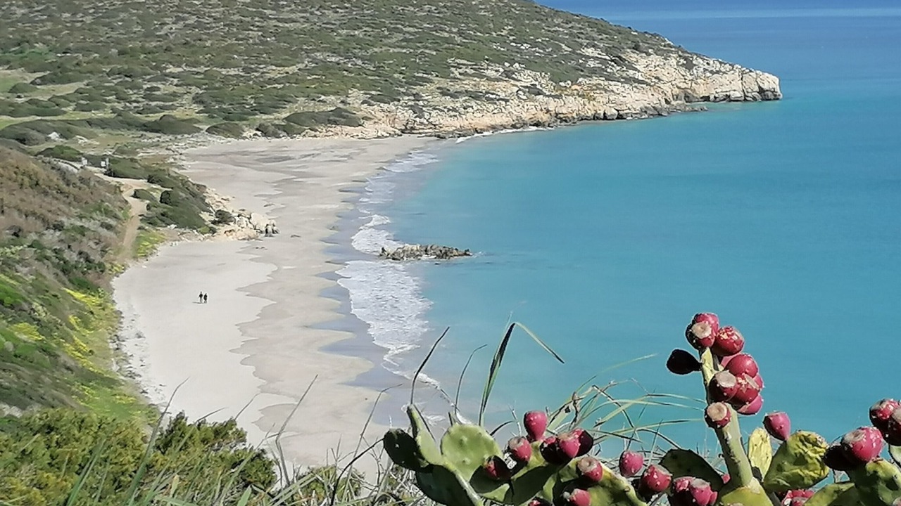 Photo of Others in Sant'Antioco