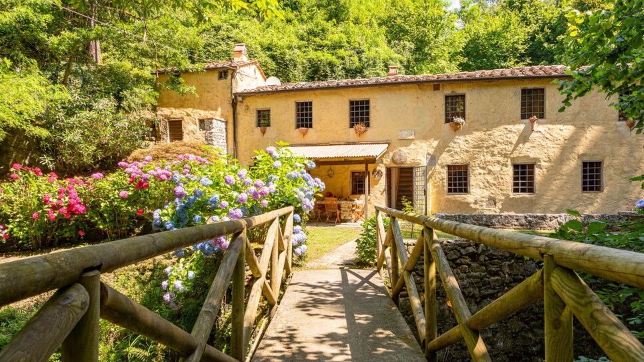 Photo of Outdoor in Marliana