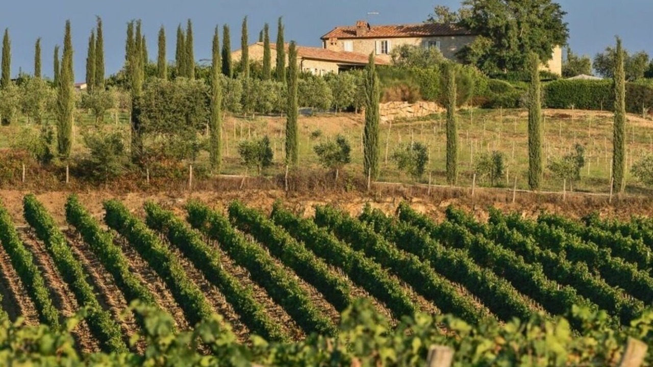 Photo of Patio Balcony in Magliano in Toscana