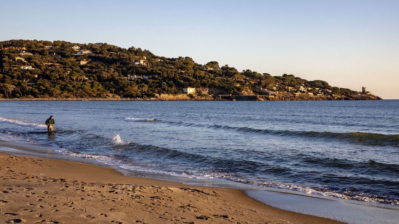 Photo of Others in Ansedonia