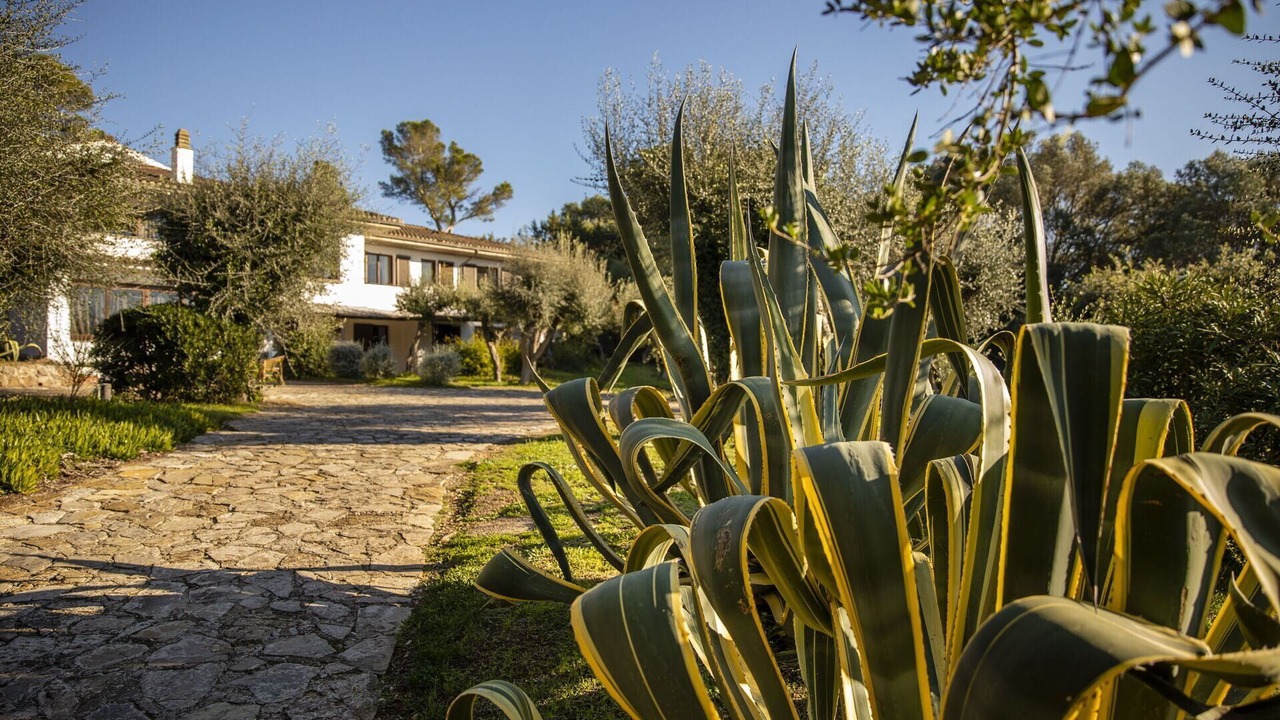 Photo of Outdoor in Ansedonia