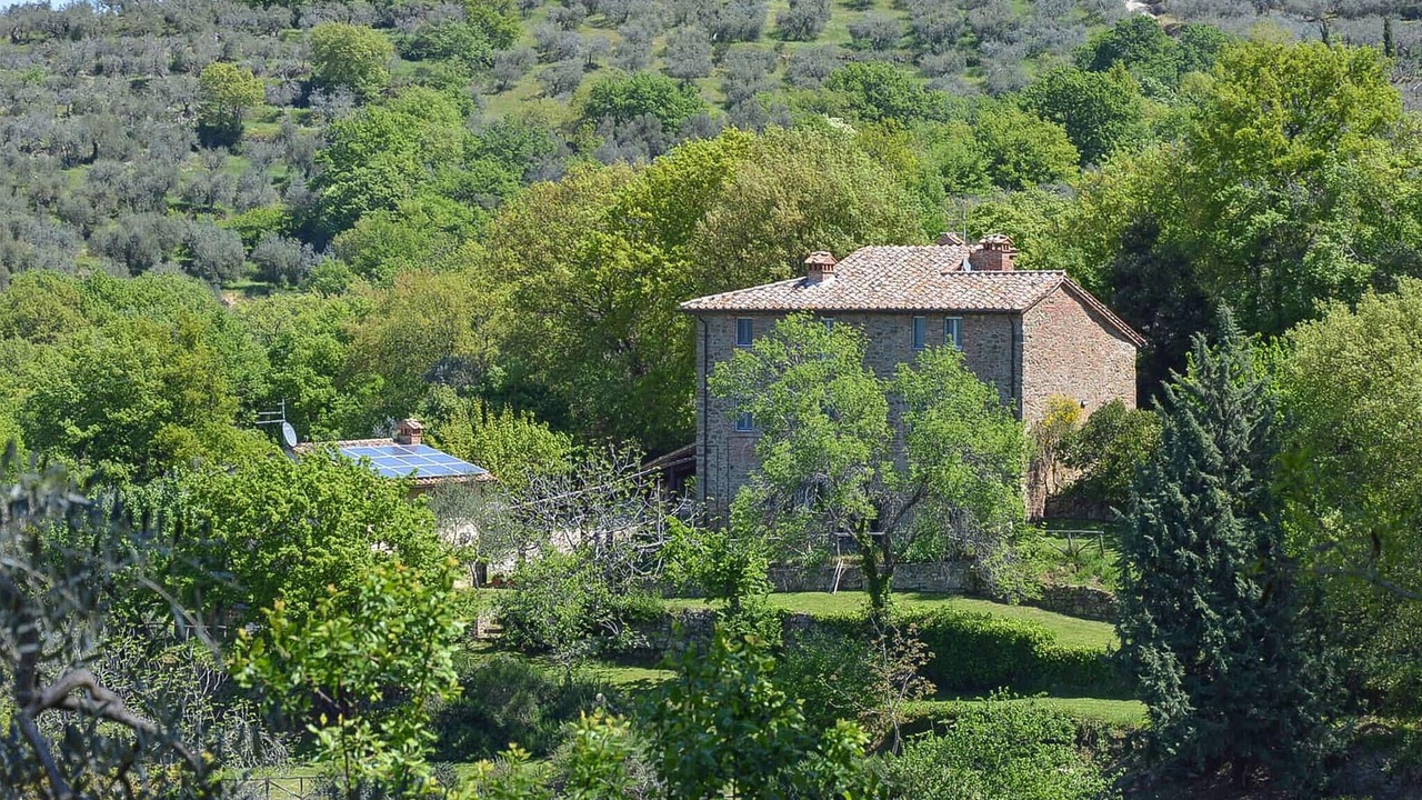 Photo of Others in Paciano