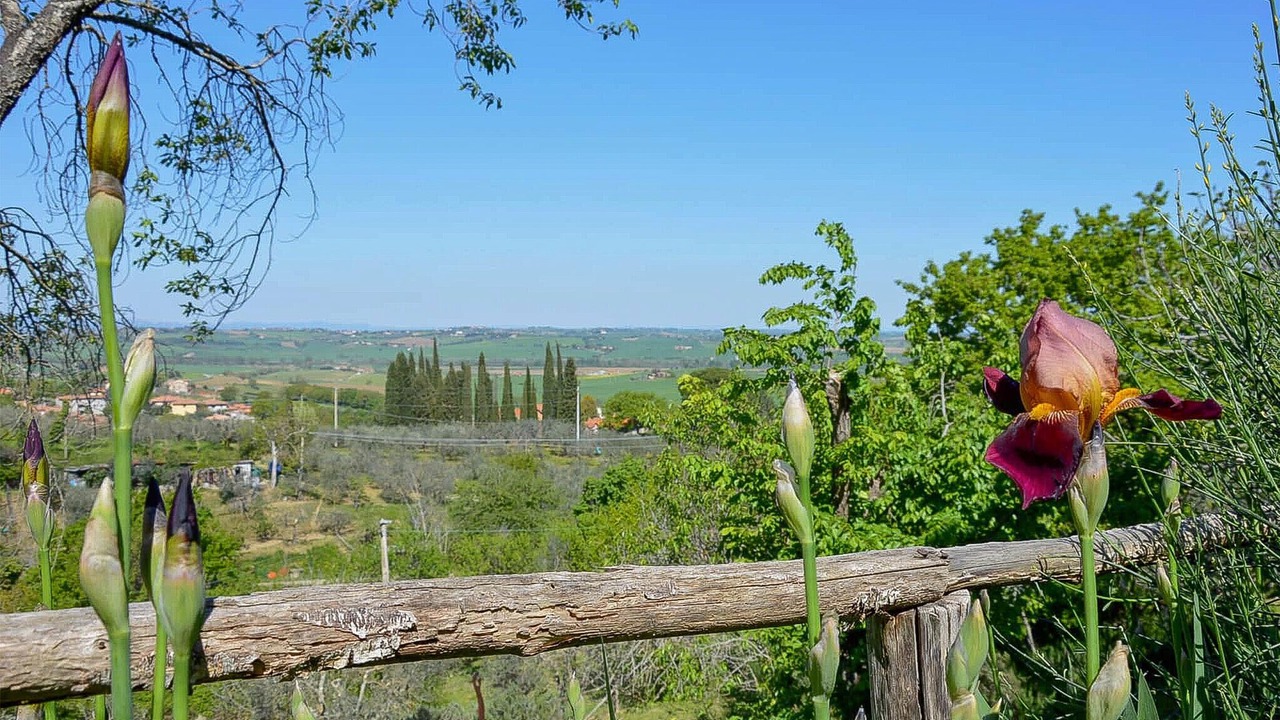 Photo of Bedroom in Paciano