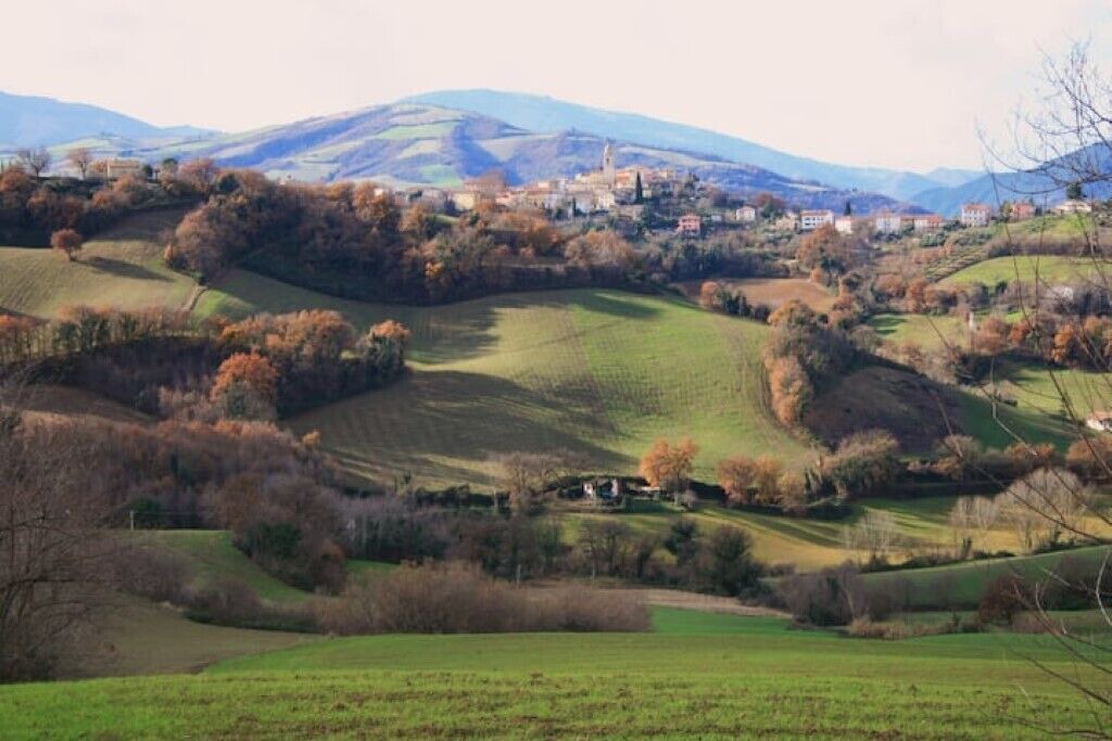 Photo of Outdoor in Rupoli