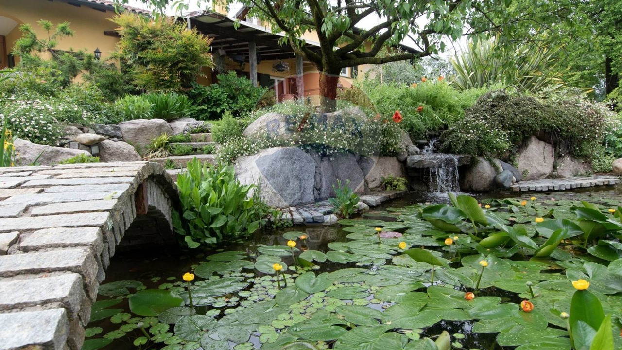 Photo of Outdoor in Gornate Olona