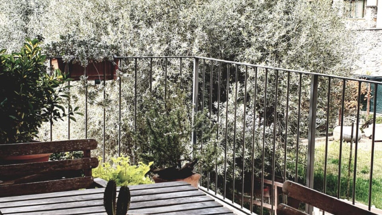 Photo of Outdoor in Provaglio d'Iseo