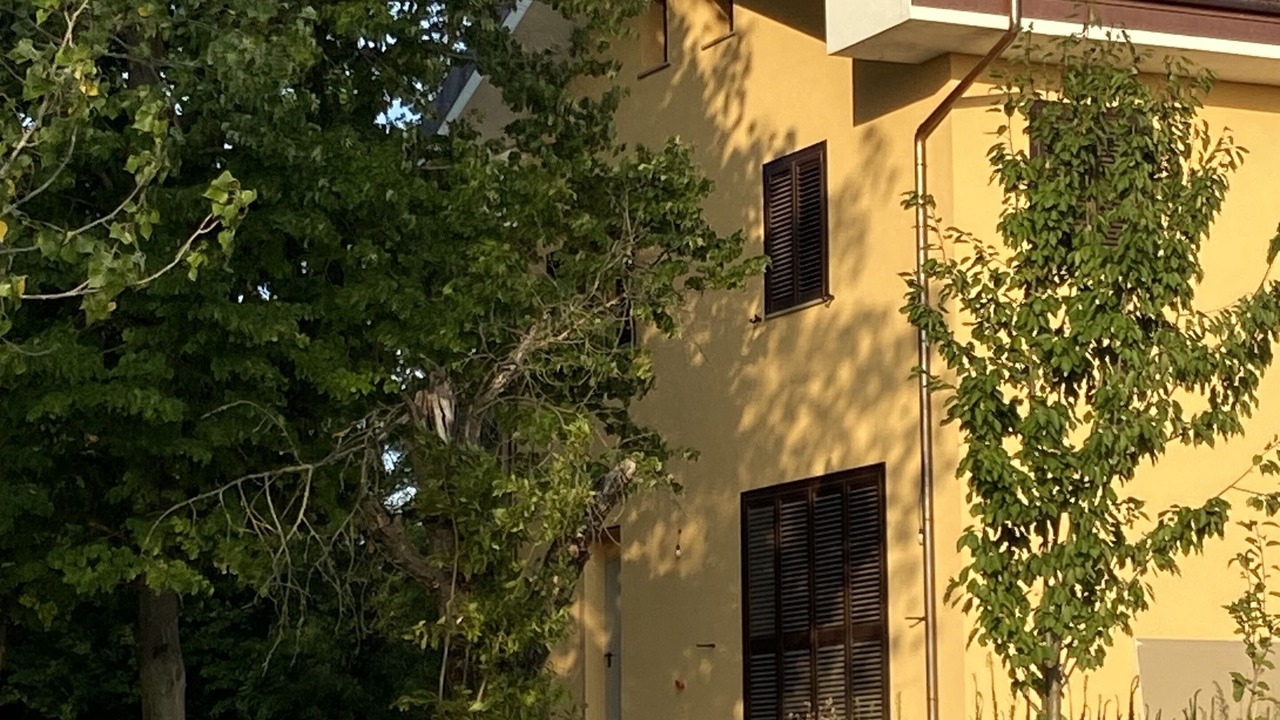 Photo of Outdoor in Calamandrana