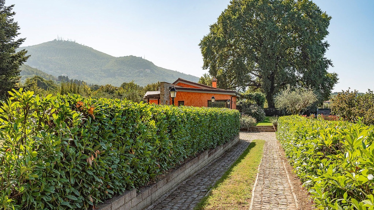 Photo of Others in Rocca di Papa