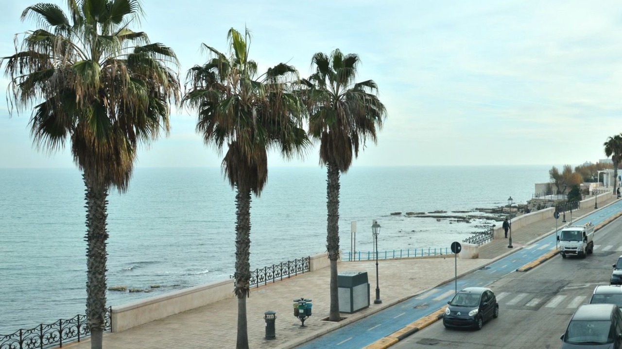 Photo of Others in Trani