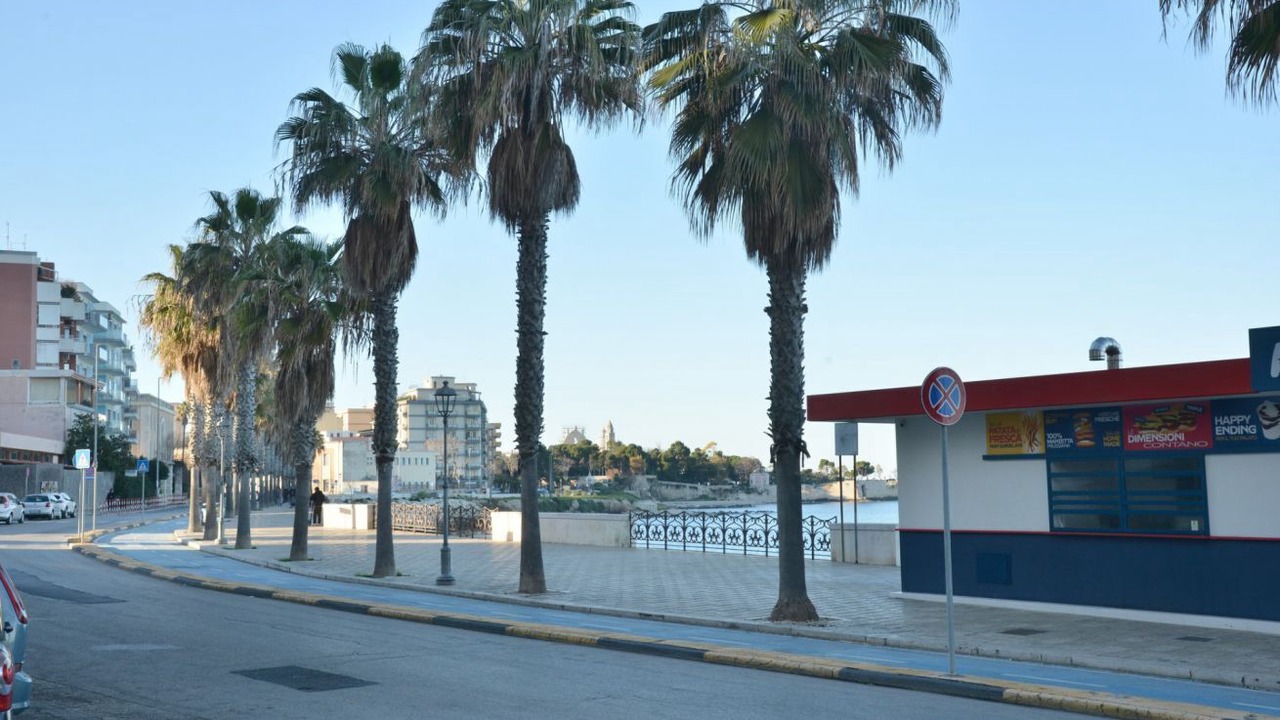Photo of Others in Trani