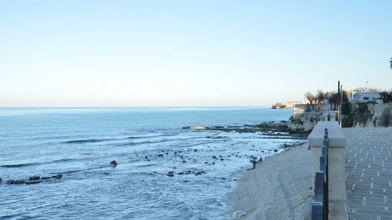 Photo of Others in Trani