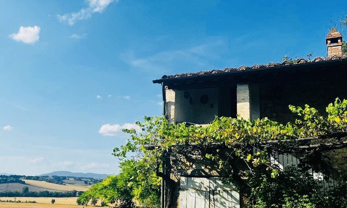 Photo of Outdoor in Badiola
