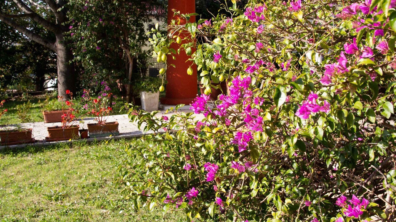 Photo of Outdoor in Minturno