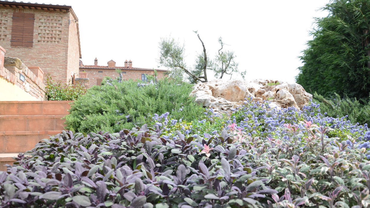 Photo of Outdoor in Ponte di Gabbiano