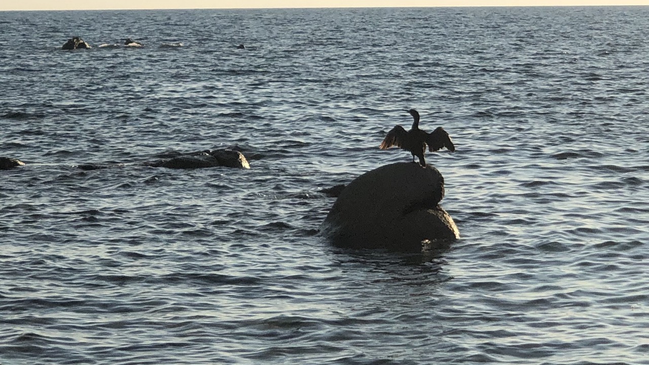 Photo of Others in Santa Reparata