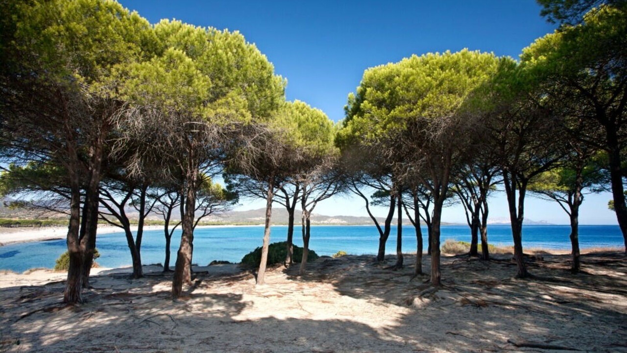 Photo of Outdoor in San Lorenzo