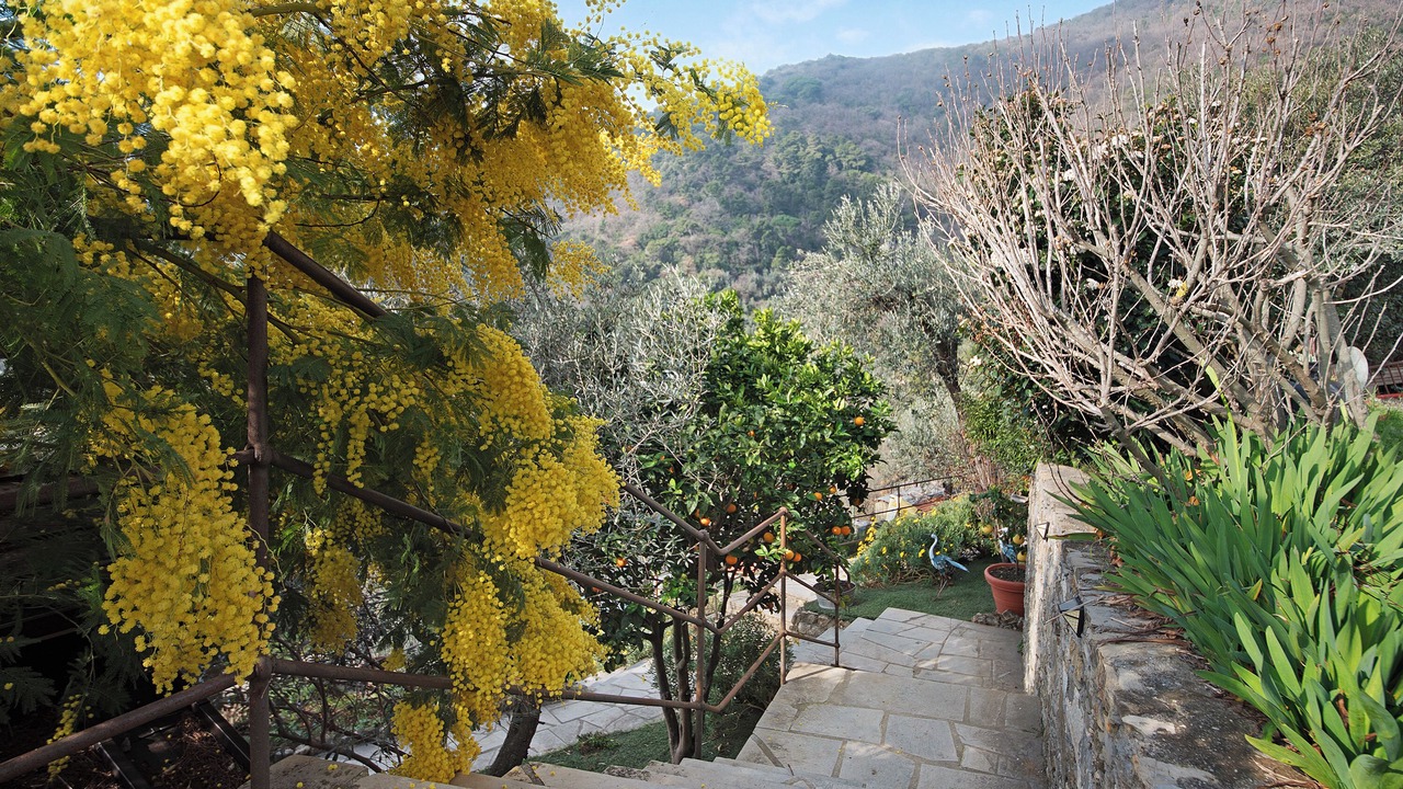 Photo of Outdoor in Recco