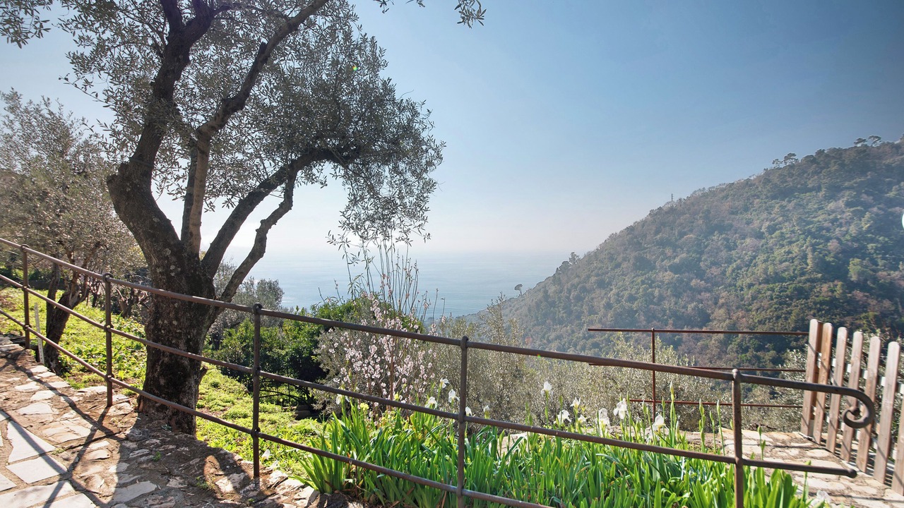 Photo of Outdoor in Recco
