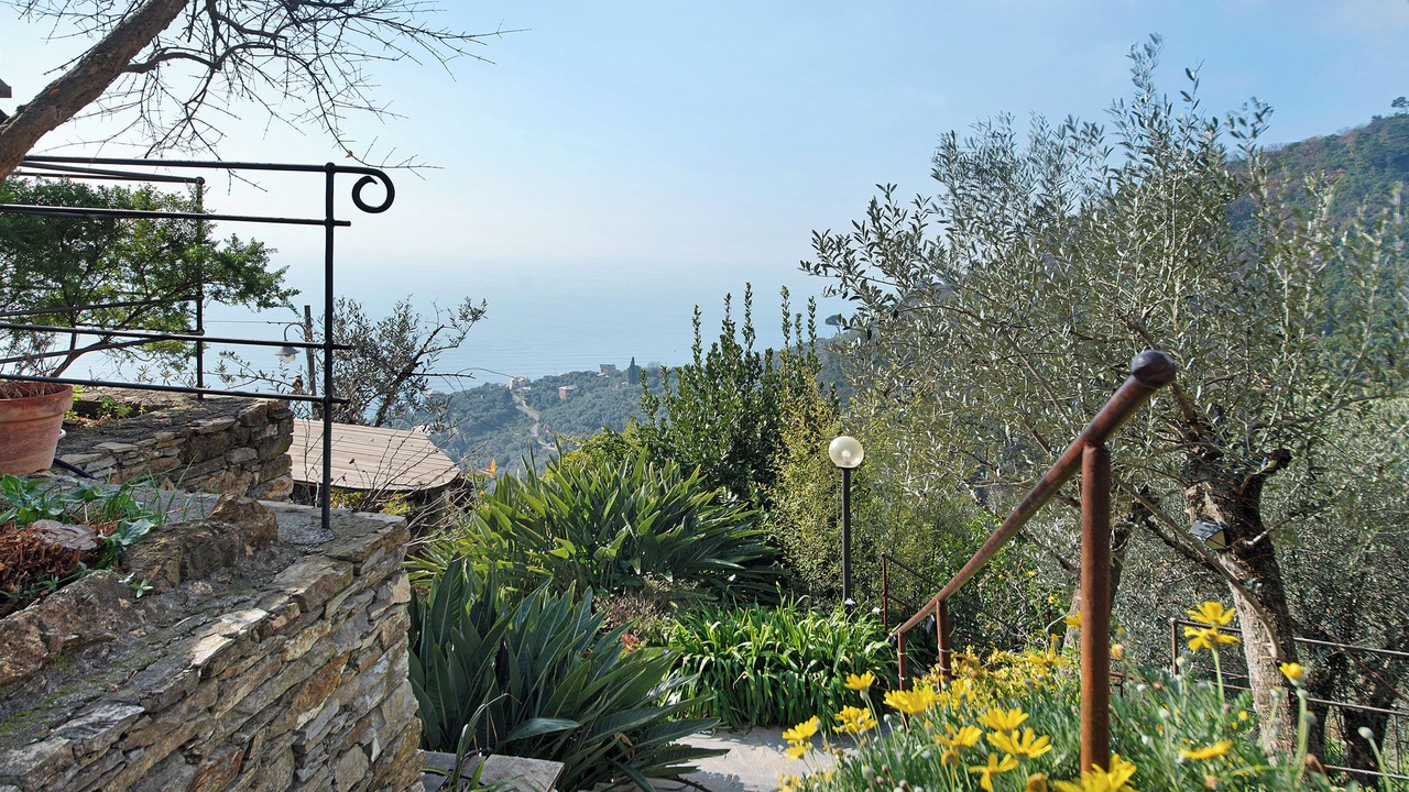Photo of Outdoor in Recco