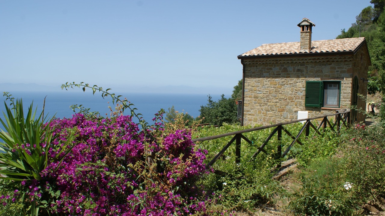 Photo of Outdoor in Castellabate Historic Centre