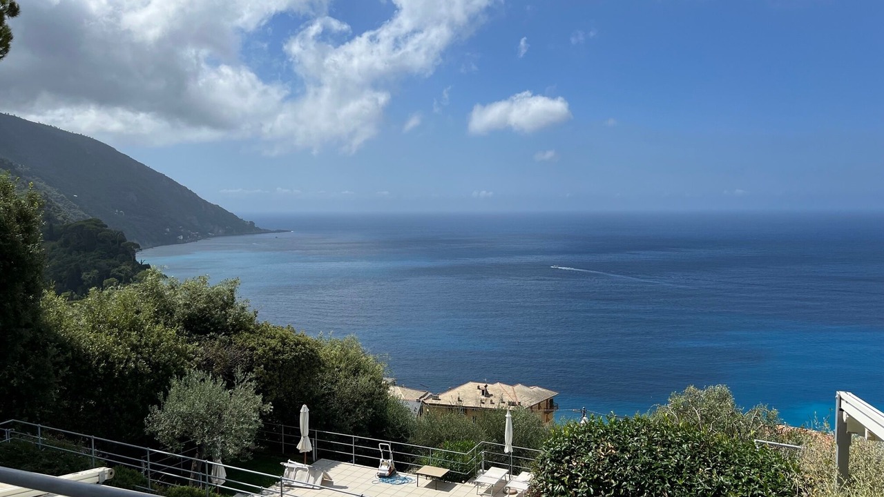 Photo of Outdoor in Camogli