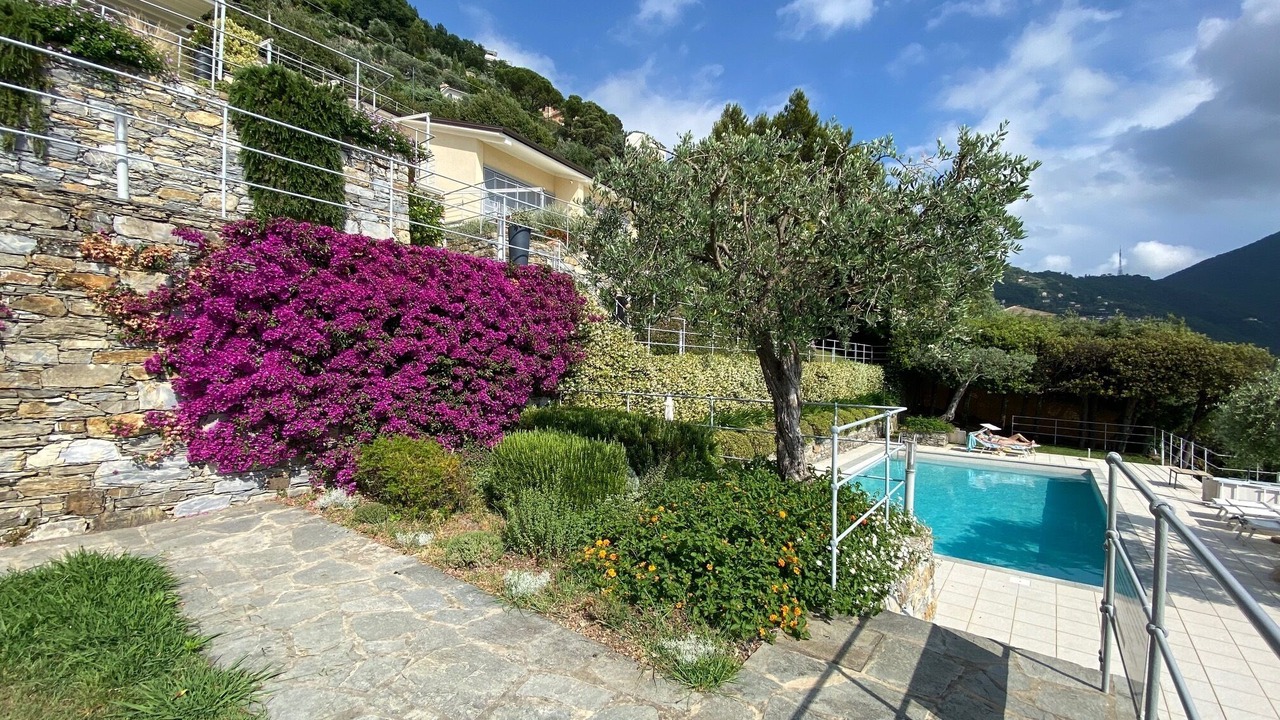 Photo of Outdoor in Camogli