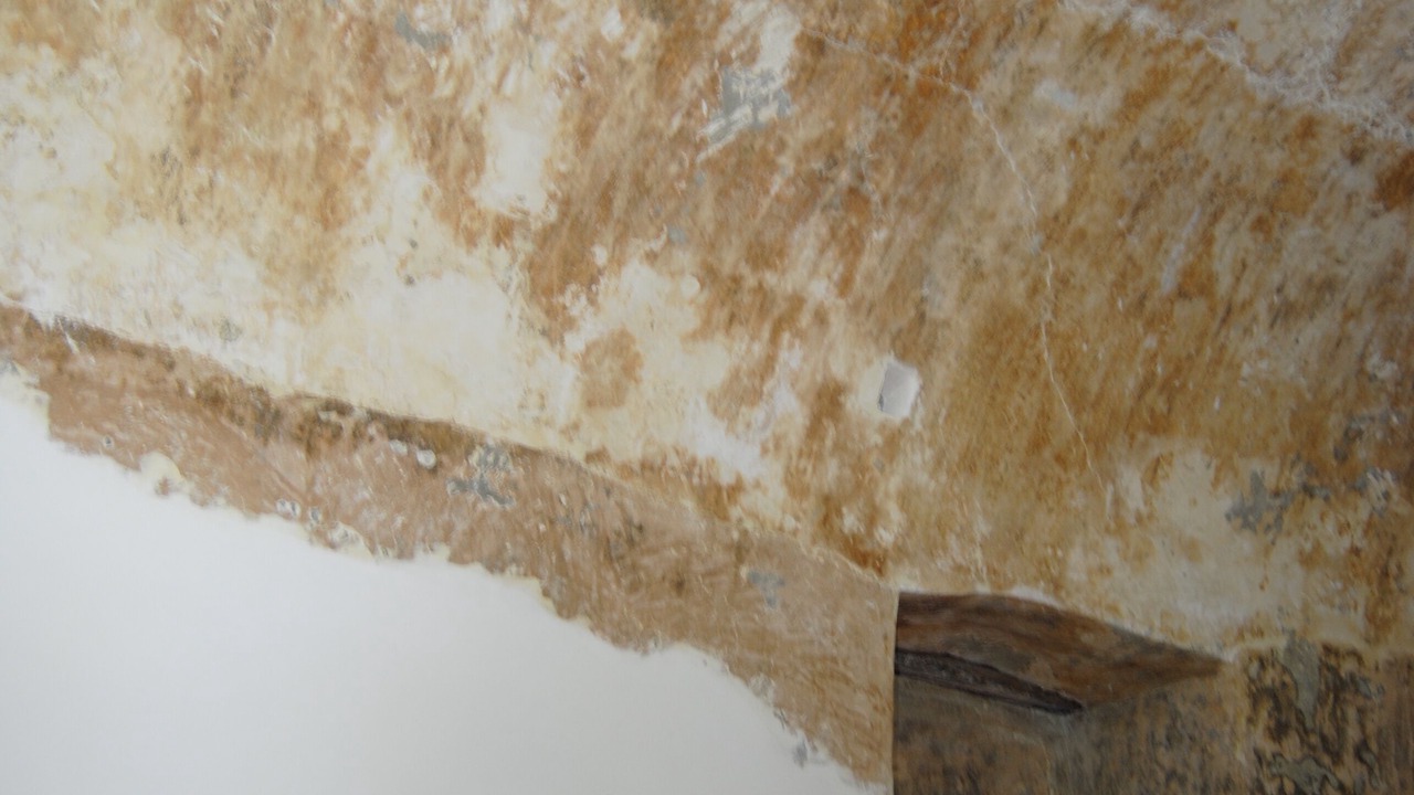Photo of Others in Province of Lecce