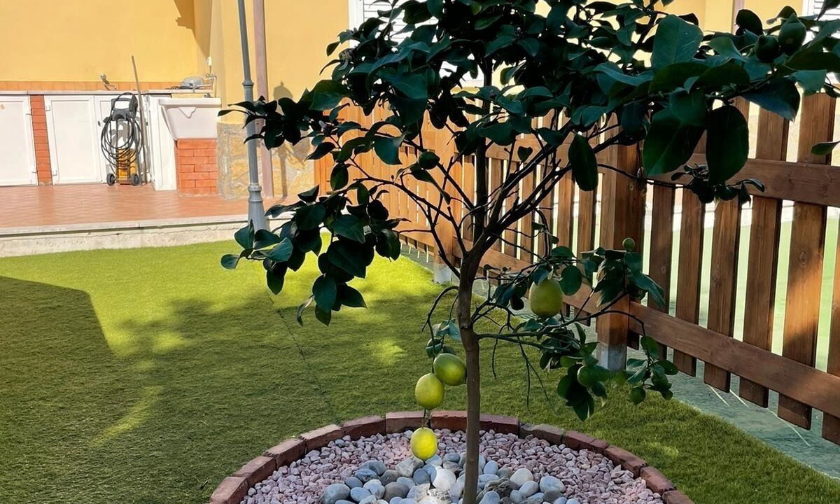 Photo of Outdoor in Marina Di Camerota