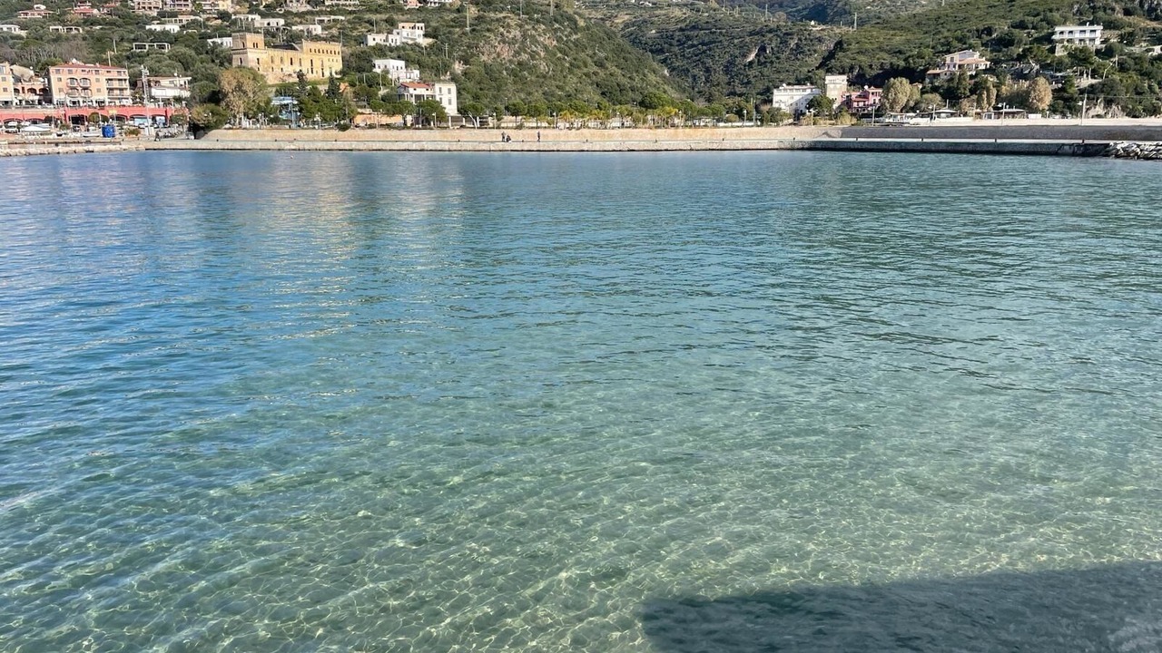 Photo of Others in Marina Di Camerota