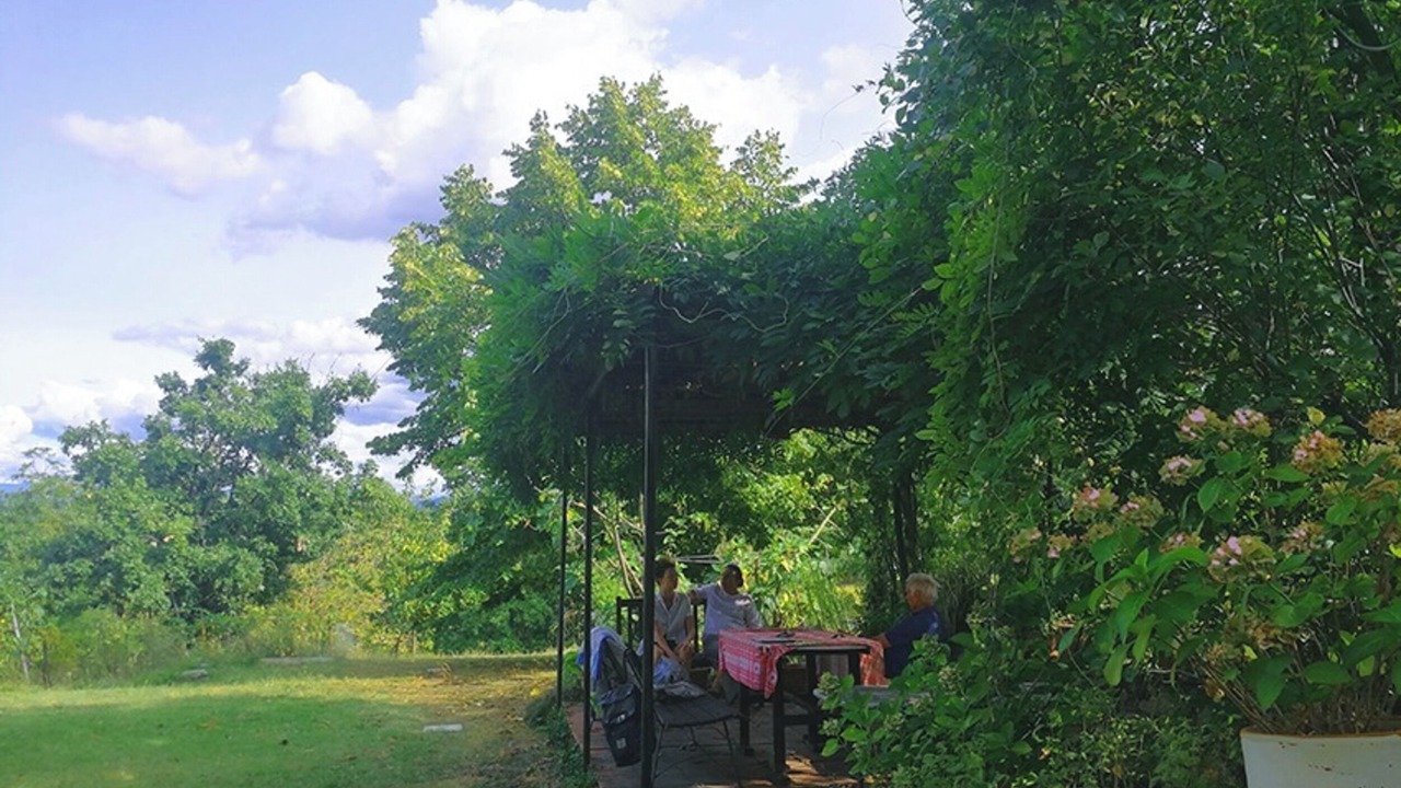 Photo of Outdoor in Montaldo Bormida