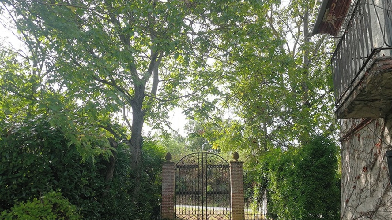 Photo of Outdoor in Montaldo Bormida