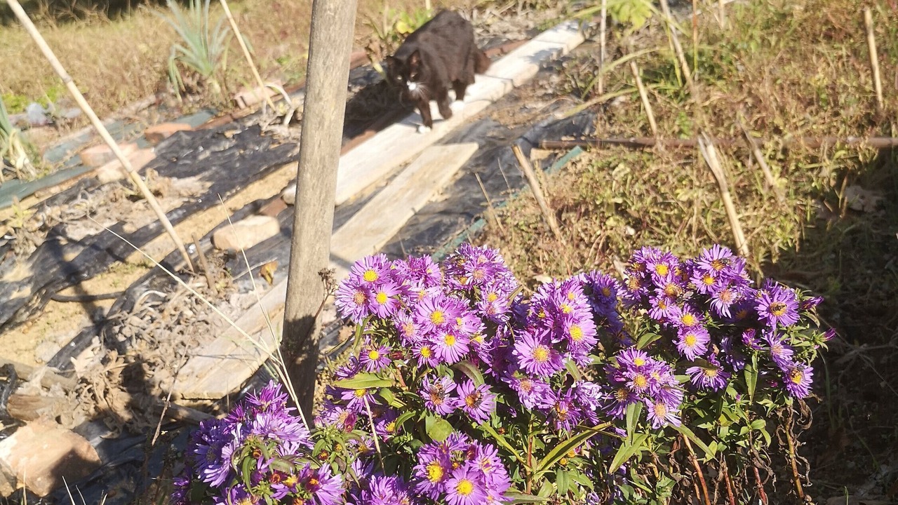 Photo of Outdoor in Montaldo Bormida