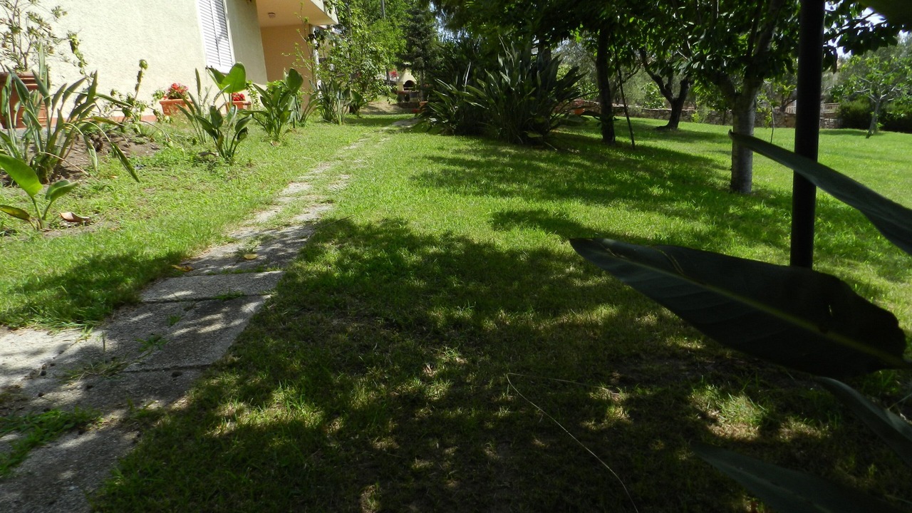 Photo of Outdoor in Budoni