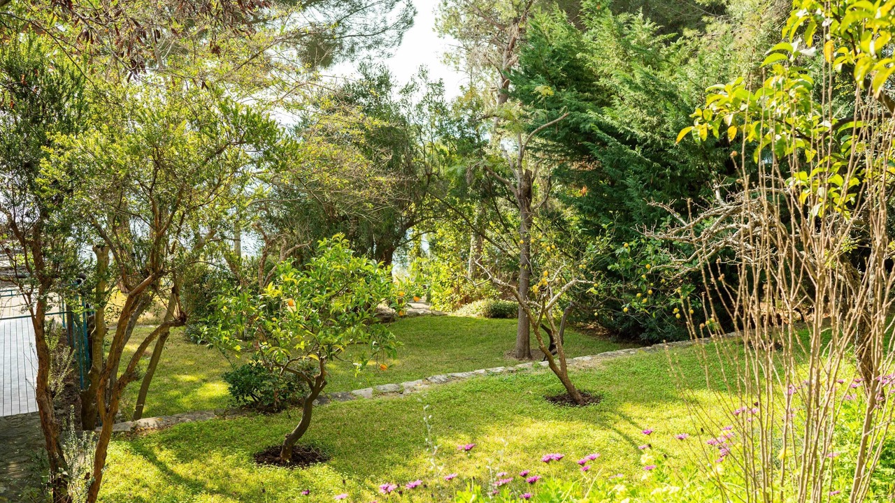 Photo of Outdoor in Pollica