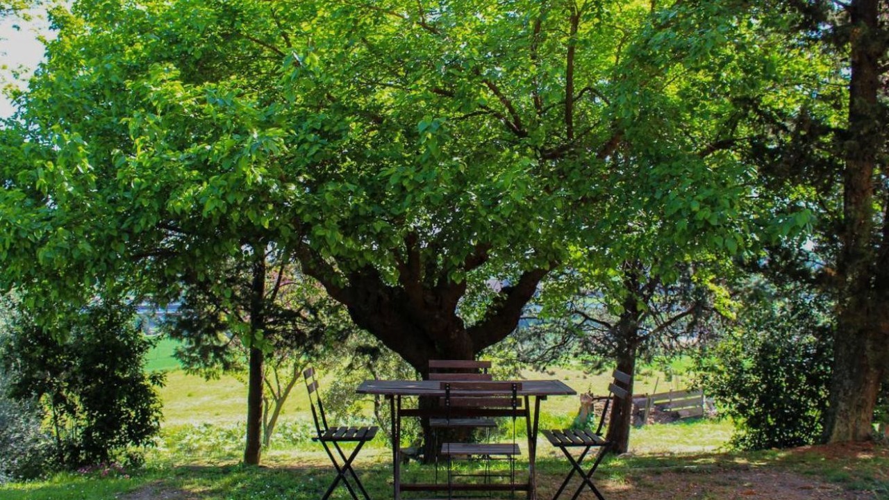 Photo of Outdoor in Senigallia