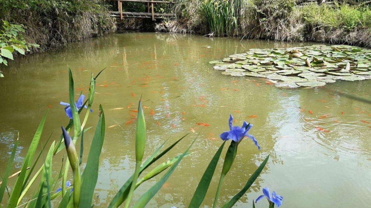 Photo of Outdoor in Senigallia