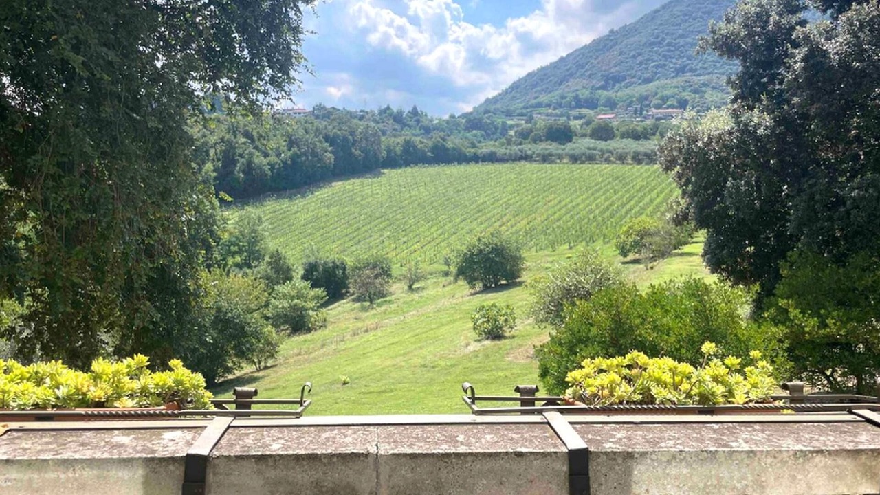 Photo of Outdoor in Teolo