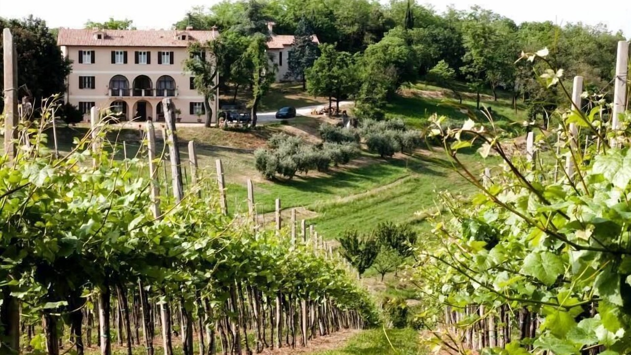 Photo of Outdoor in Teolo
