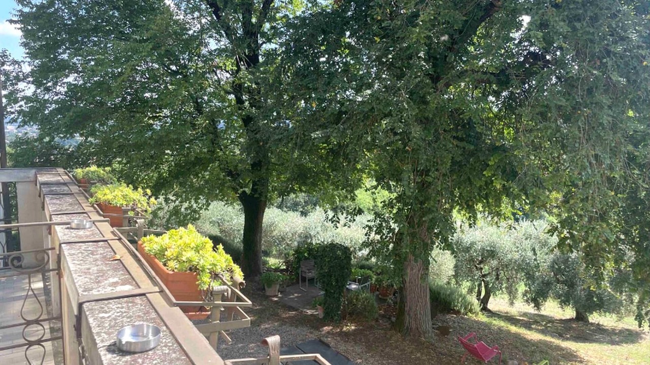 Photo of Outdoor in Teolo