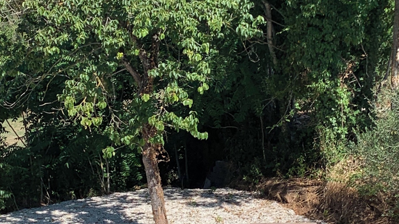 Photo of Outdoor in Corchiano