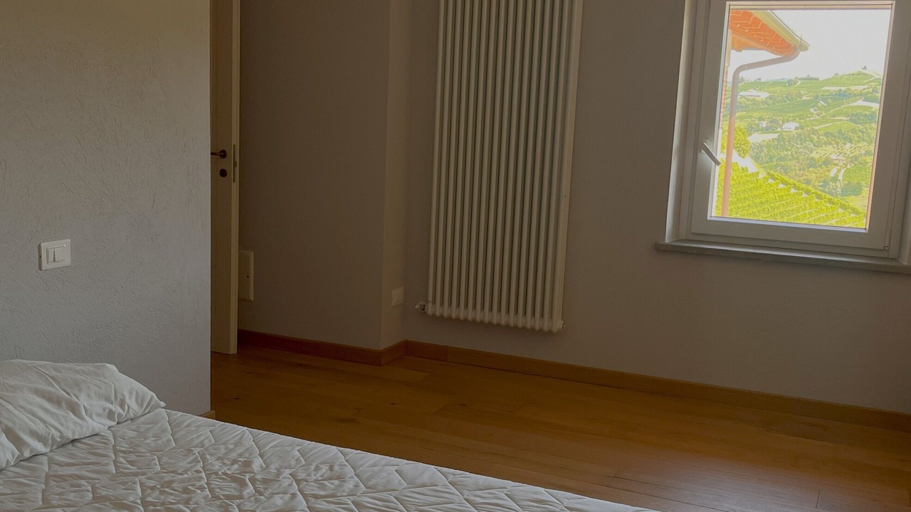 Photo of Bedroom in Mango