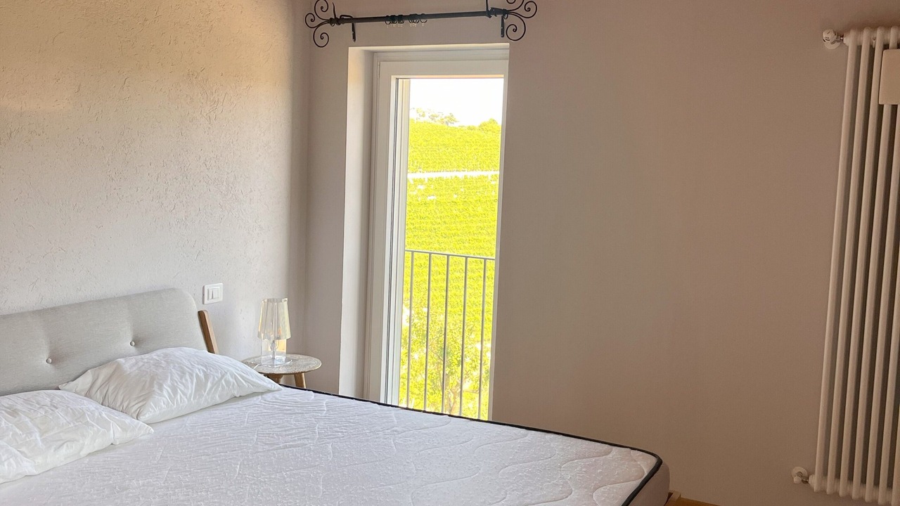 Photo of Bedroom in Mango
